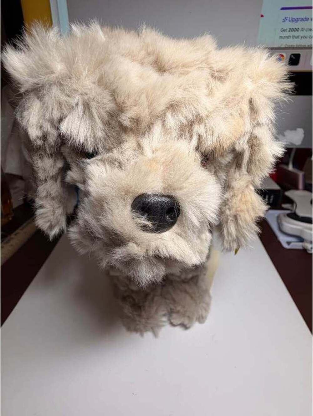 Steiff Lumpi Junghund 20 plush dog